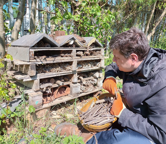 An Earthworker sorting wood into groups in a wood storage hut
