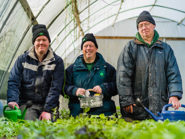 Three Earthworkers standing in the polytunnel, overlooking plants