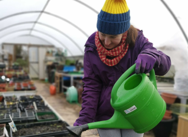 An Earthworker watering some plants in the greenhouse