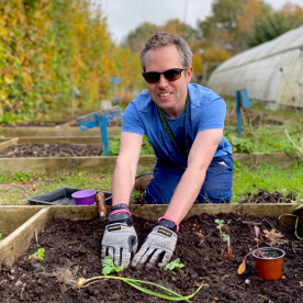 An Earthworker on his hands and knees, leaning over a vegetable bed in the garden, wearing planting gloves