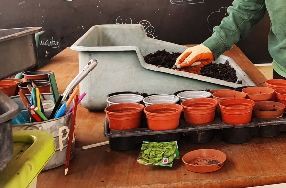 A series of small red planting pots in front of a box of soil