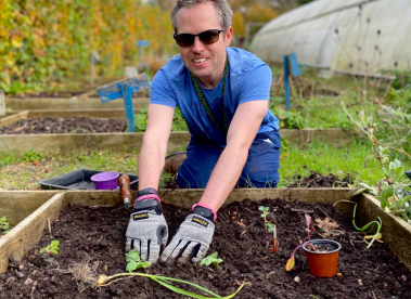 An Earthworker planting some young seedlings into a plant bed