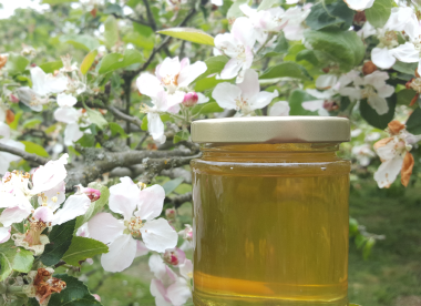 A jar of honey in front of Earthworks’ heritage orchard