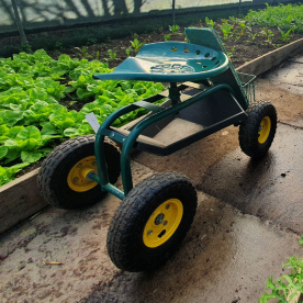 An adapted tool (a seat on on four wheels) in the polytunnel