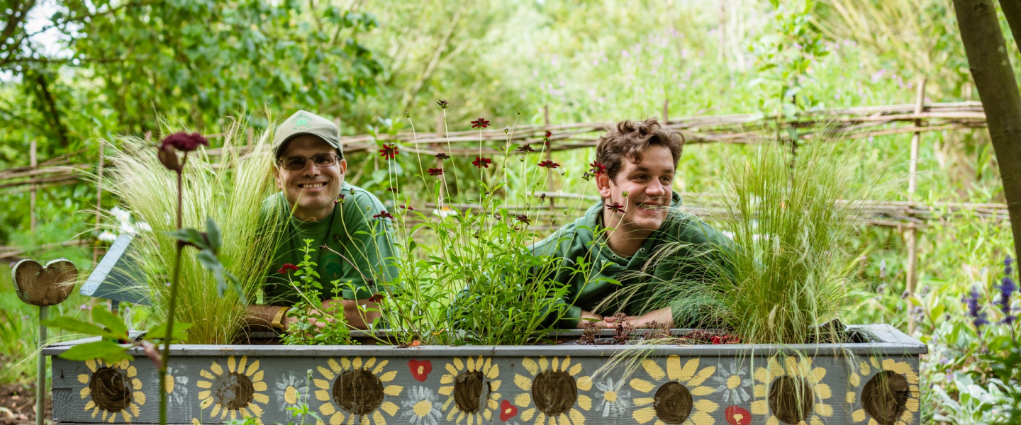 Two Earthworkers leaning over a large sunflower-painted plant bed in the gardens